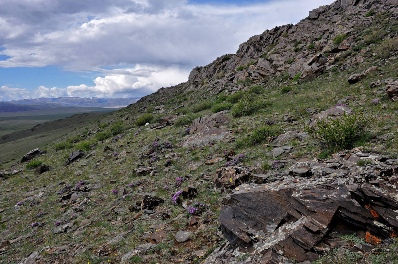 Долина реки Бар-Бургазы, image of landscape/habitat.