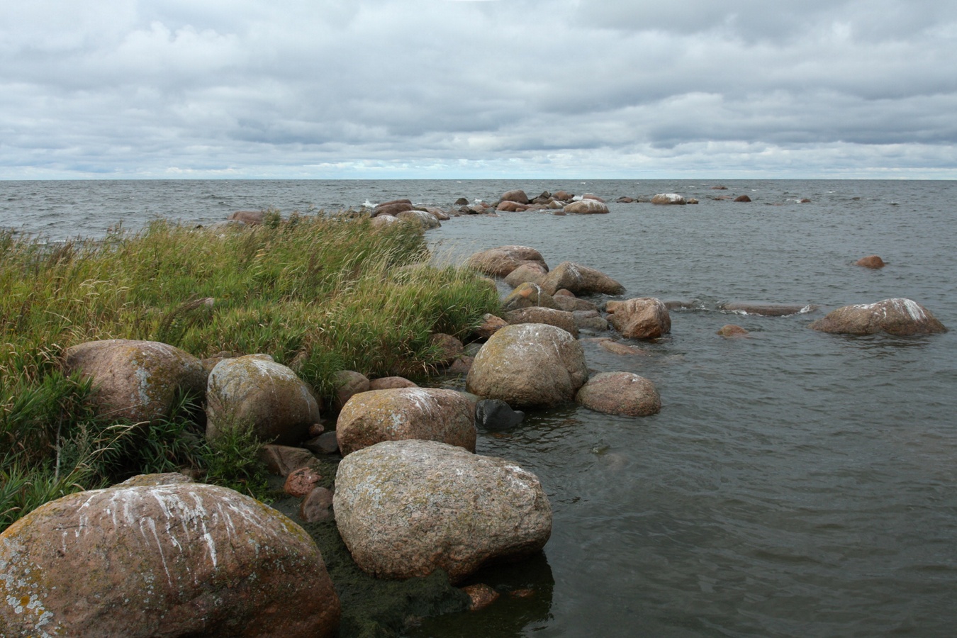 Мыс Дубовский, image of landscape/habitat.