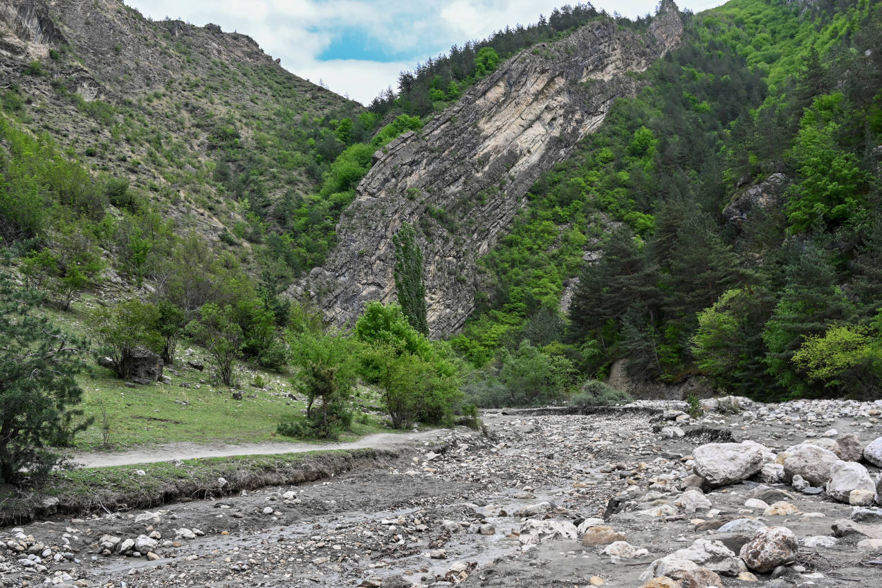 Карадахская теснина, image of landscape/habitat.