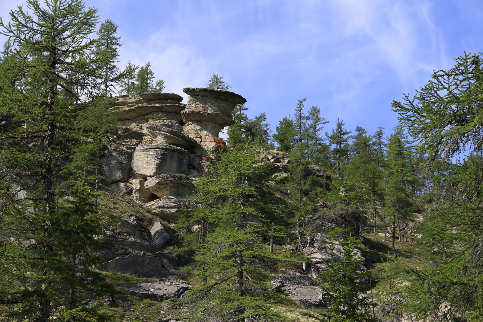 Окрестности реки Олломокит, image of landscape/habitat.