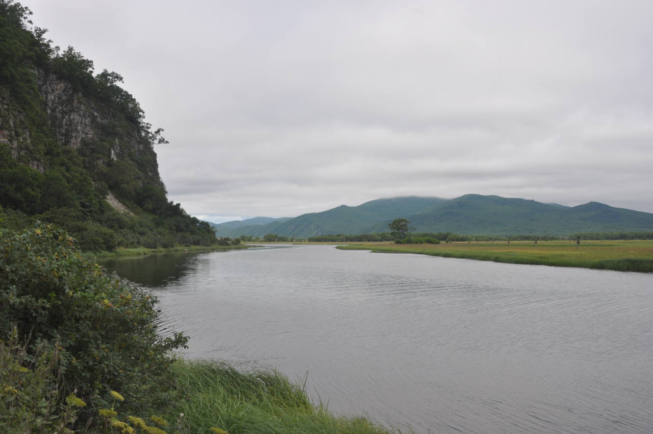 Терней, image of landscape/habitat.