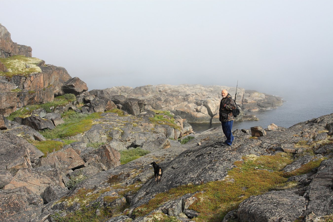 Дальние Зеленцы, image of landscape/habitat.