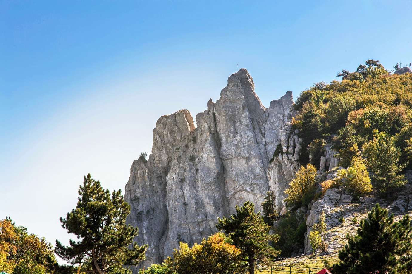 Ай-Петринская яйла, image of landscape/habitat.