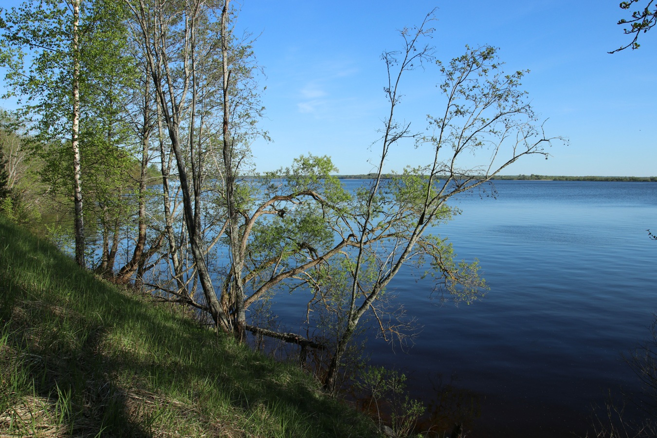 Окрестности Худоярово, image of landscape/habitat.