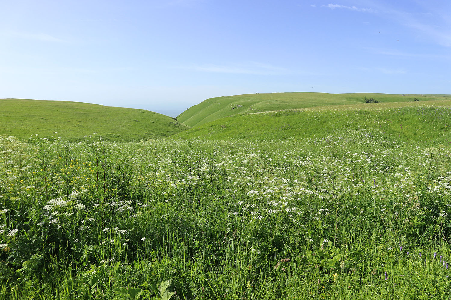 Джисса, image of landscape/habitat.