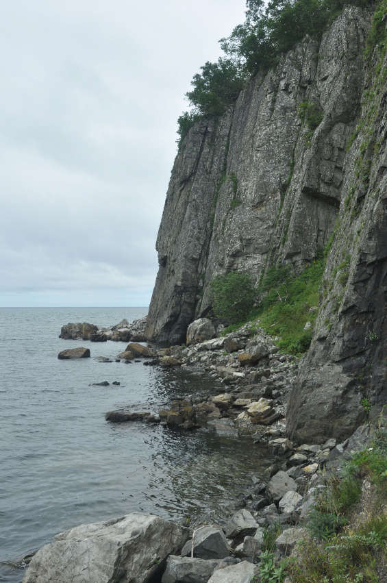 Терней, image of landscape/habitat.