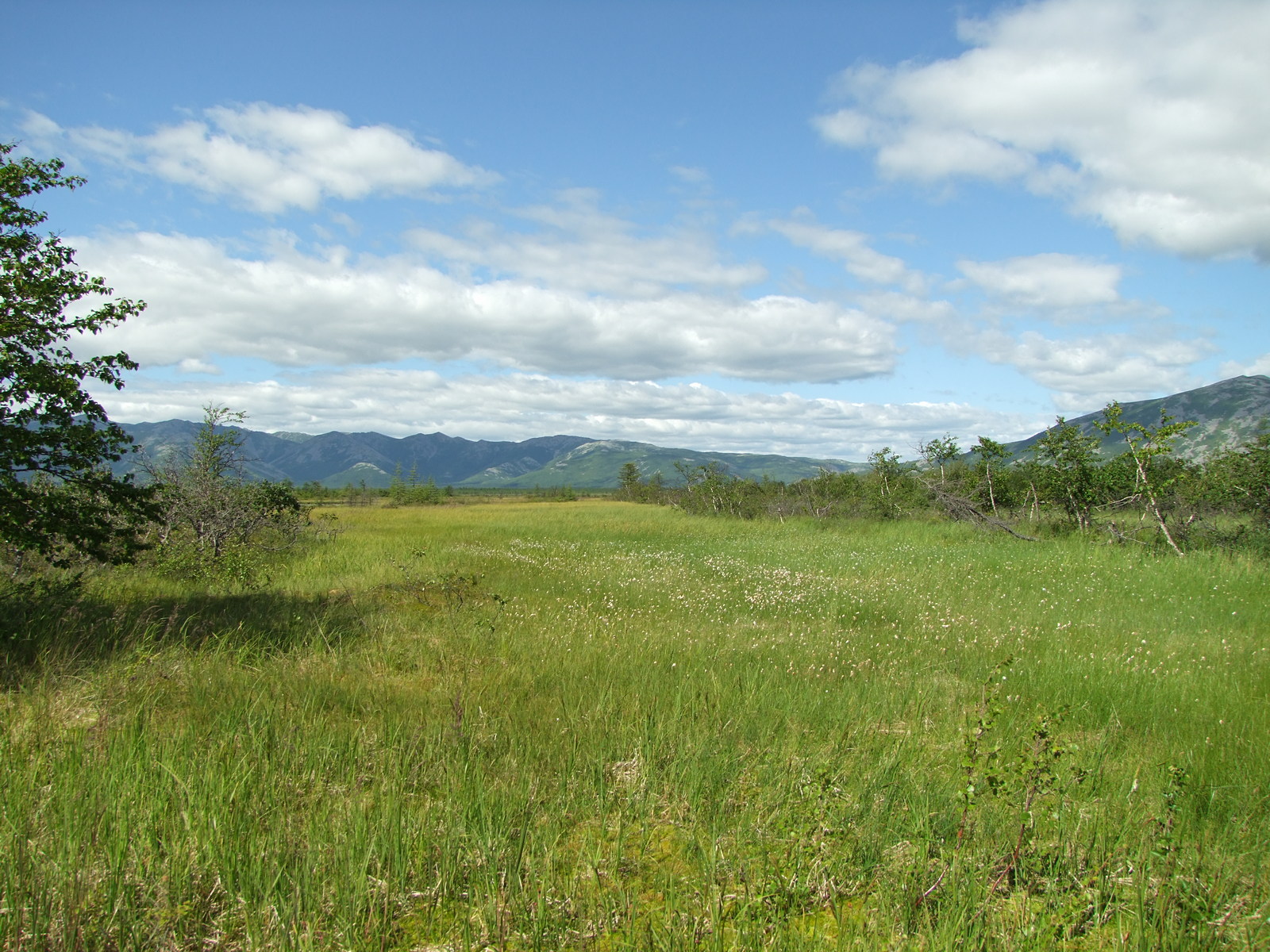 Глухое, image of landscape/habitat.