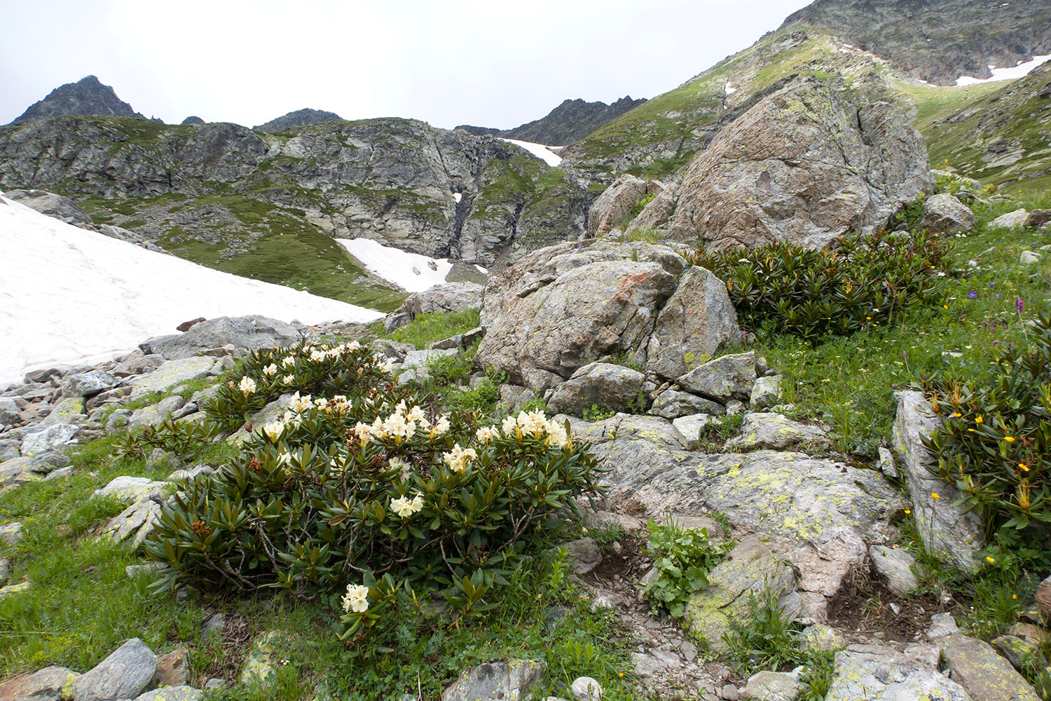 Верховья Имеретинки, image of landscape/habitat.