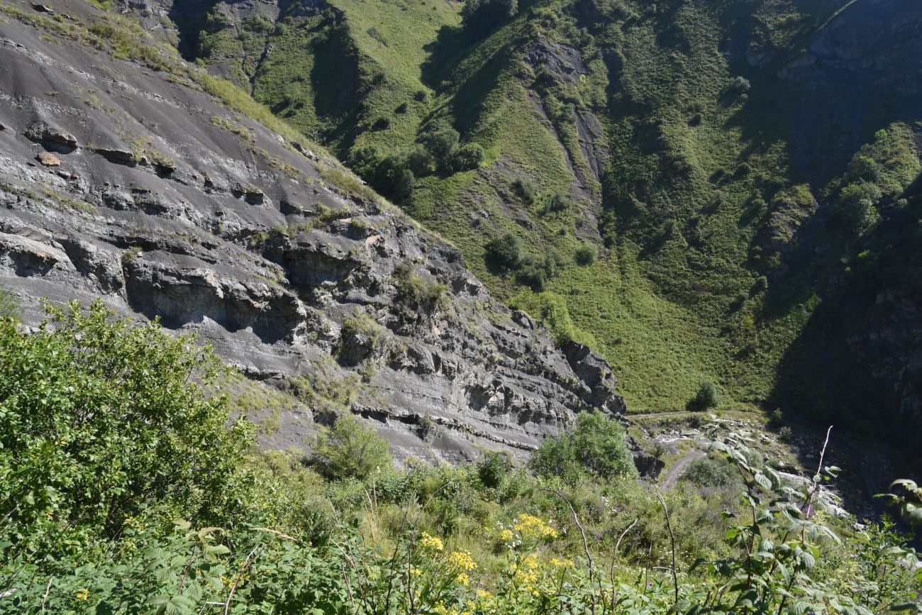 Окрестности водопада Цеси, изображение ландшафта.