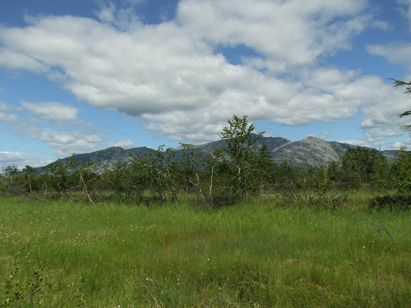 Глухое, image of landscape/habitat.