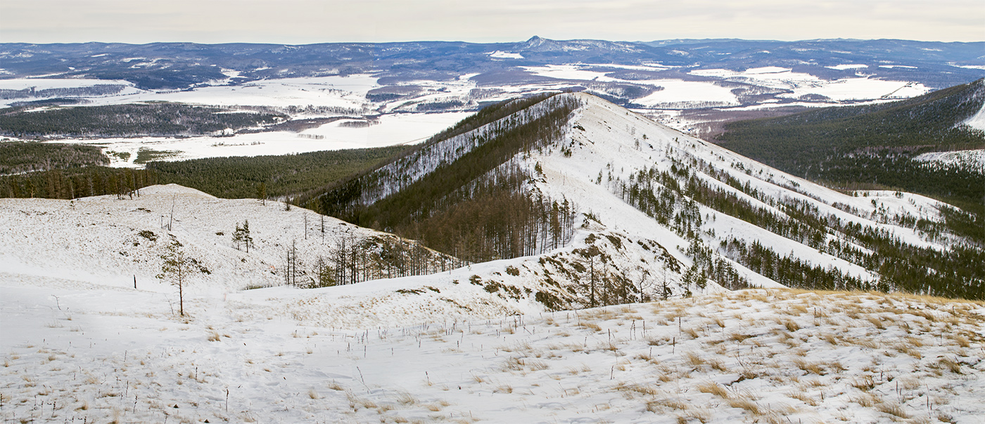 Окрестности села Шигаево, image of landscape/habitat.