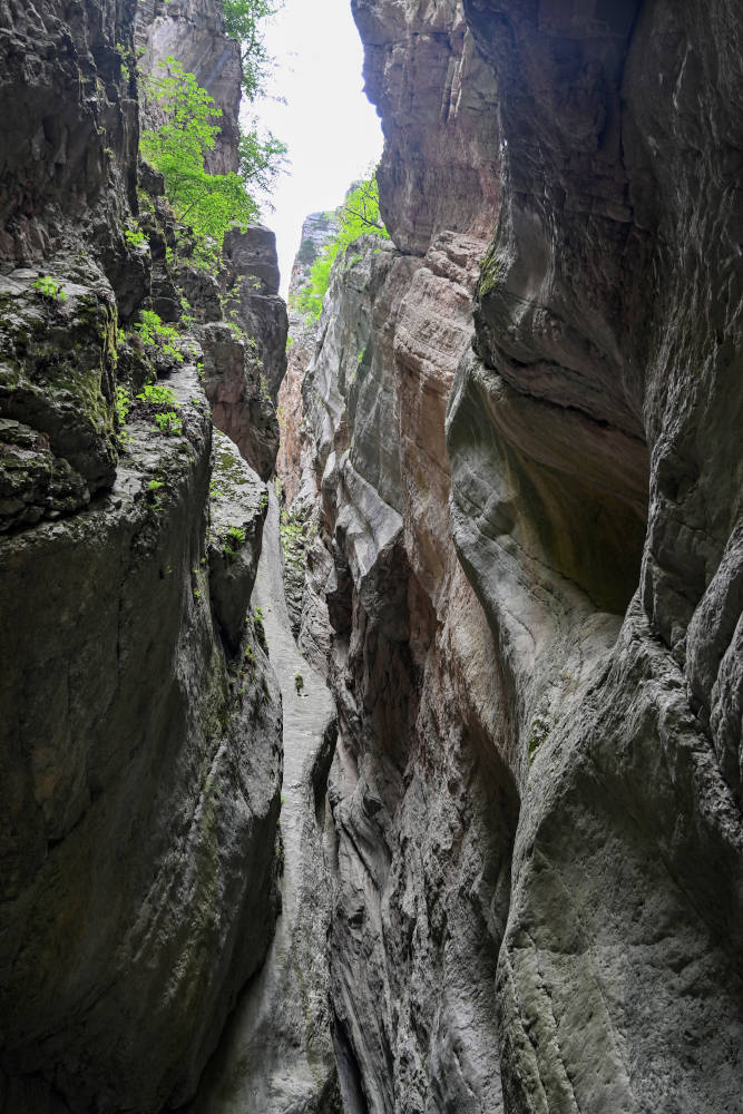 Карадахская теснина, image of landscape/habitat.