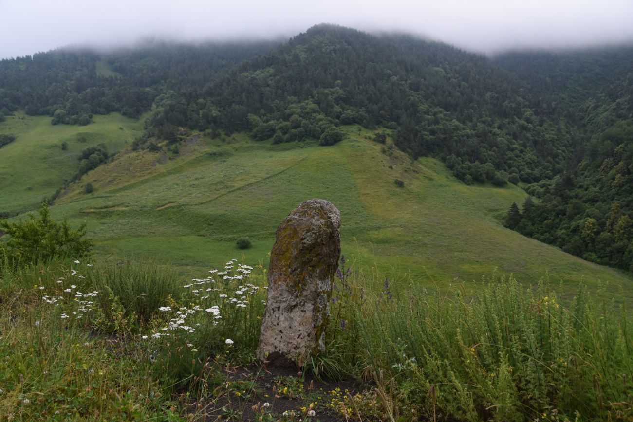 Урочище Лялах и окрестности, image of landscape/habitat.