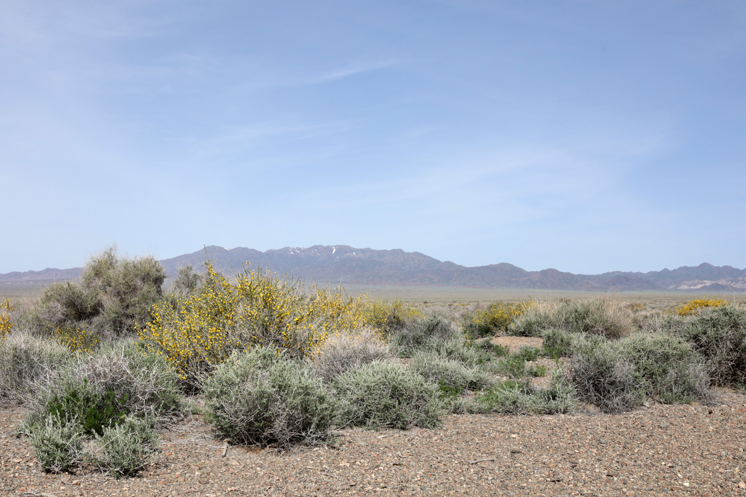 Шыган, image of landscape/habitat.