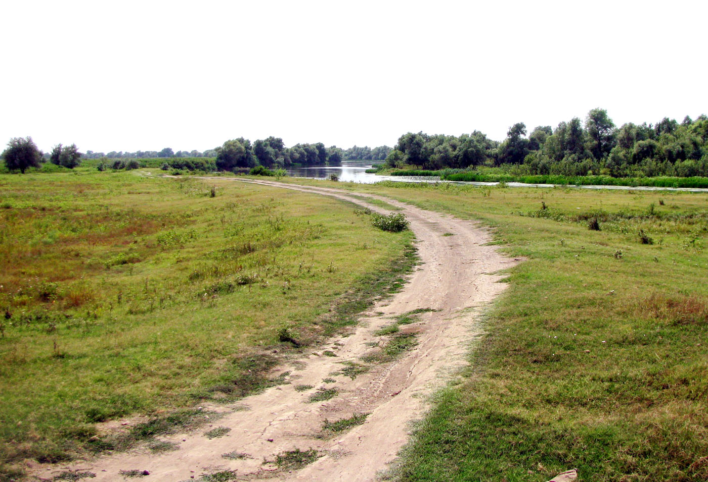 Бузан, image of landscape/habitat.