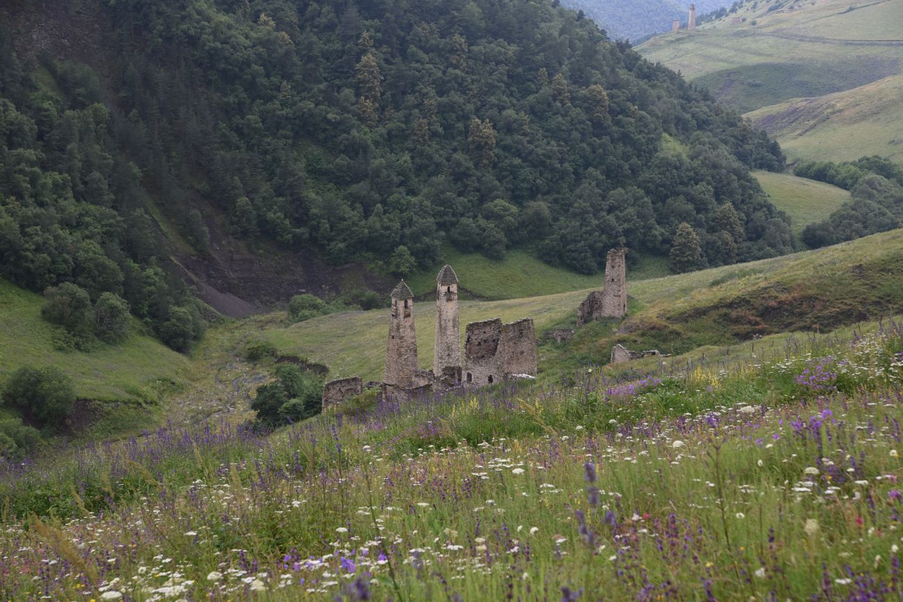 Урочище Хяни, image of landscape/habitat.