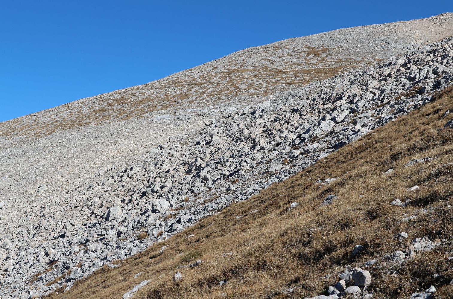 Пшехо-Су, image of landscape/habitat.