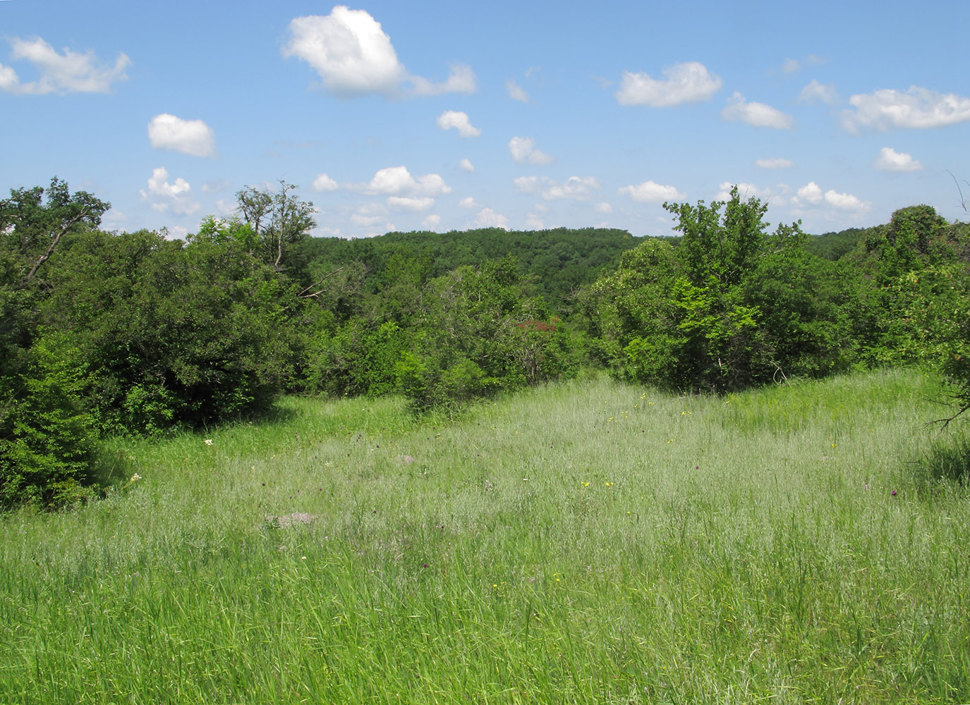 Неберджаевская и окрестности, image of landscape/habitat.