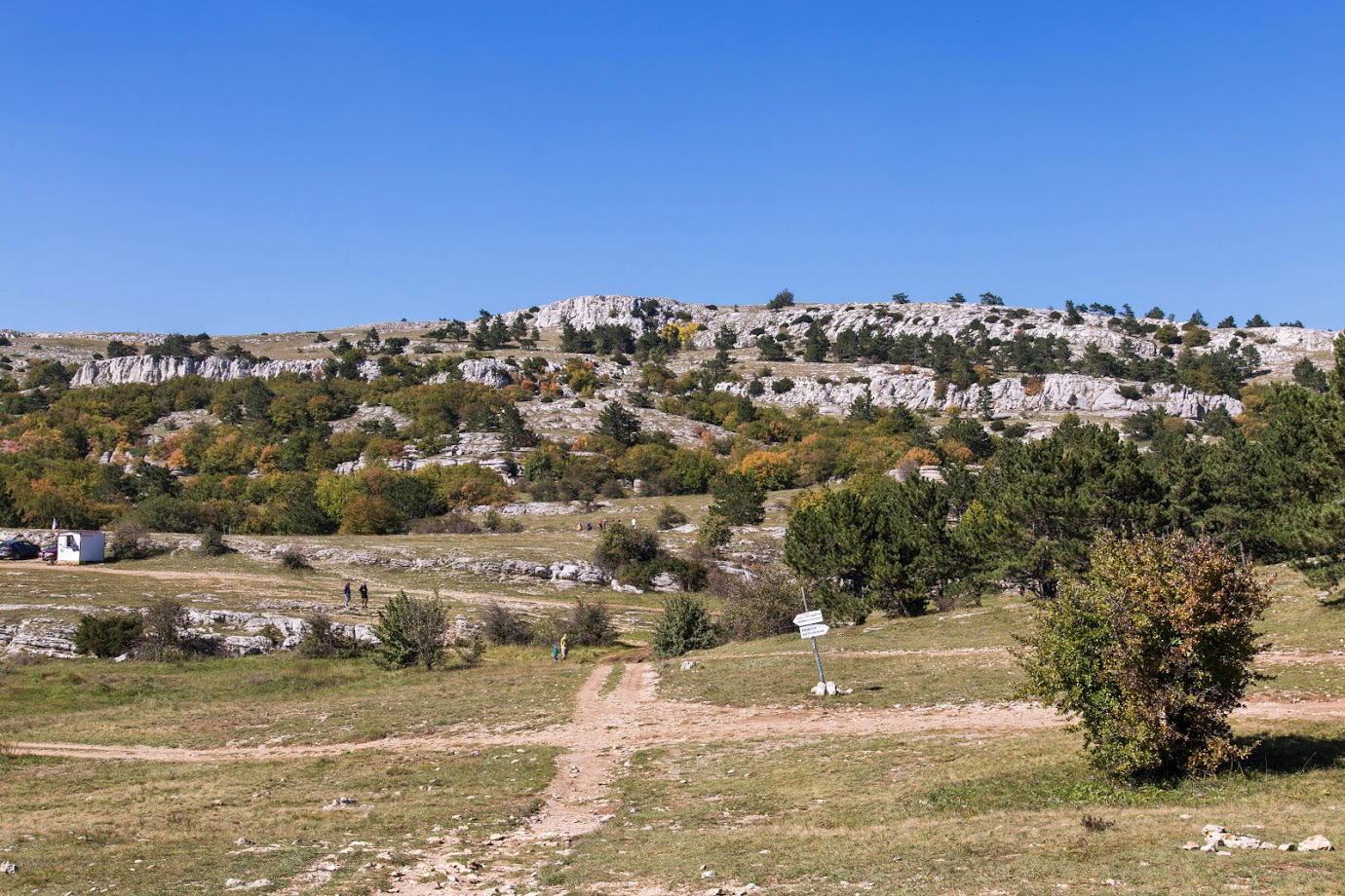 Ай-Петринская яйла, image of landscape/habitat.