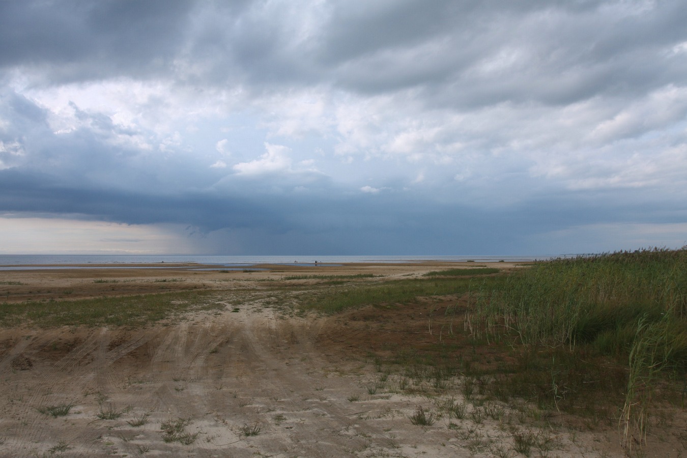 Спицино, image of landscape/habitat.