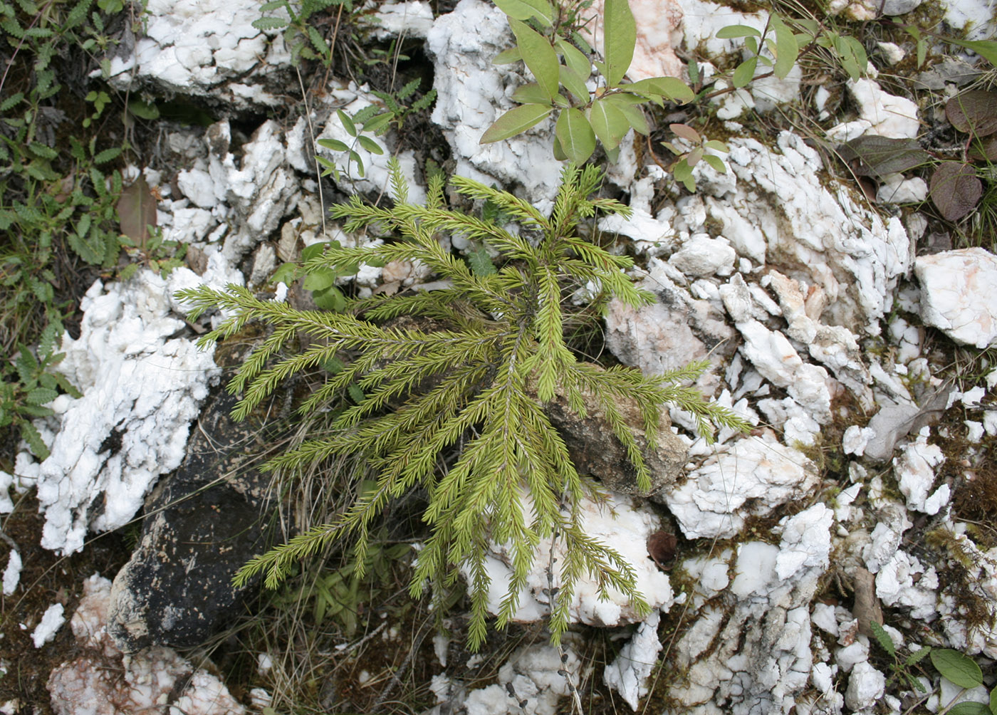 Голубинский карстовый массив, image of landscape/habitat.