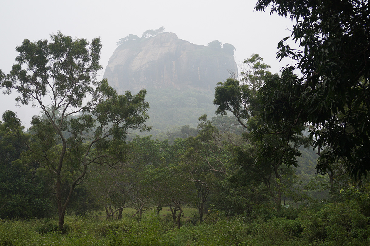 Сигирия, image of landscape/habitat.