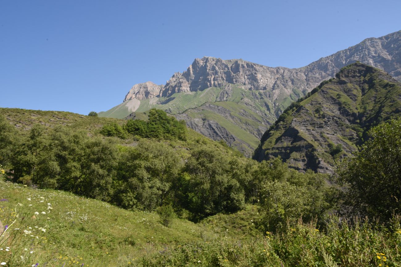 Окрестности водопада Цеси, image of landscape/habitat.