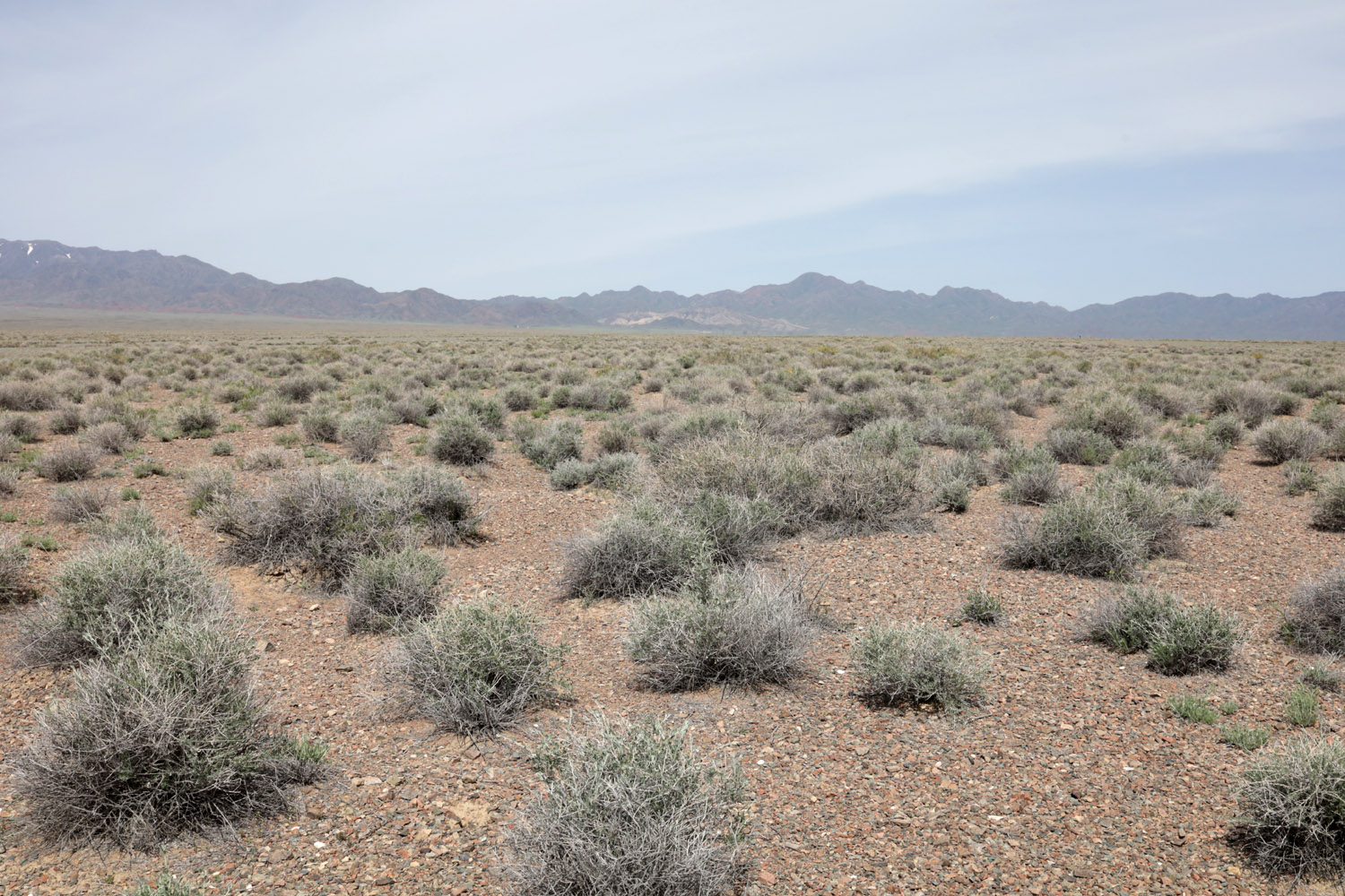 Шыган, image of landscape/habitat.