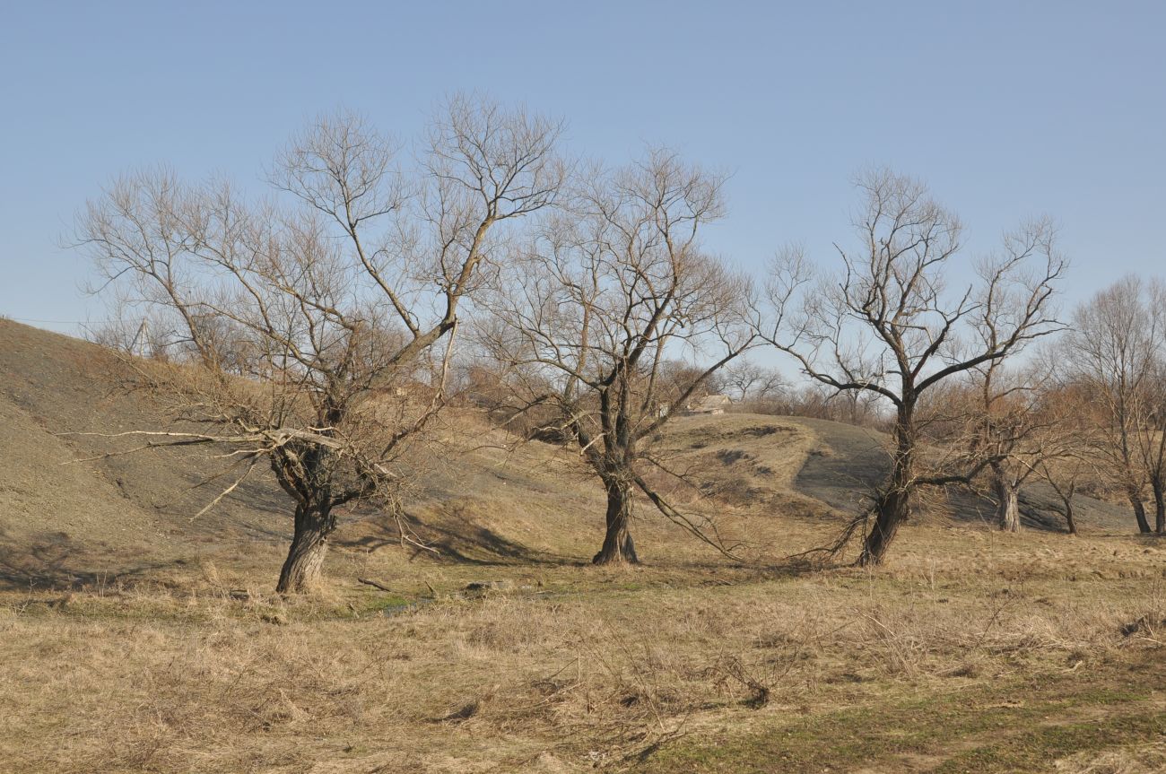 Свердловск, изображение ландшафта.