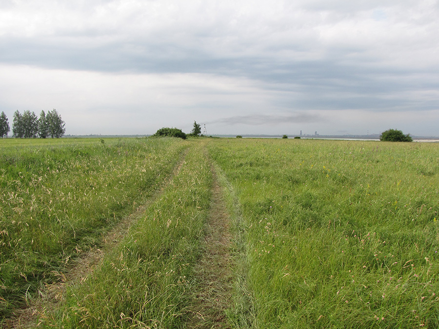 Лубушева степь, image of landscape/habitat.