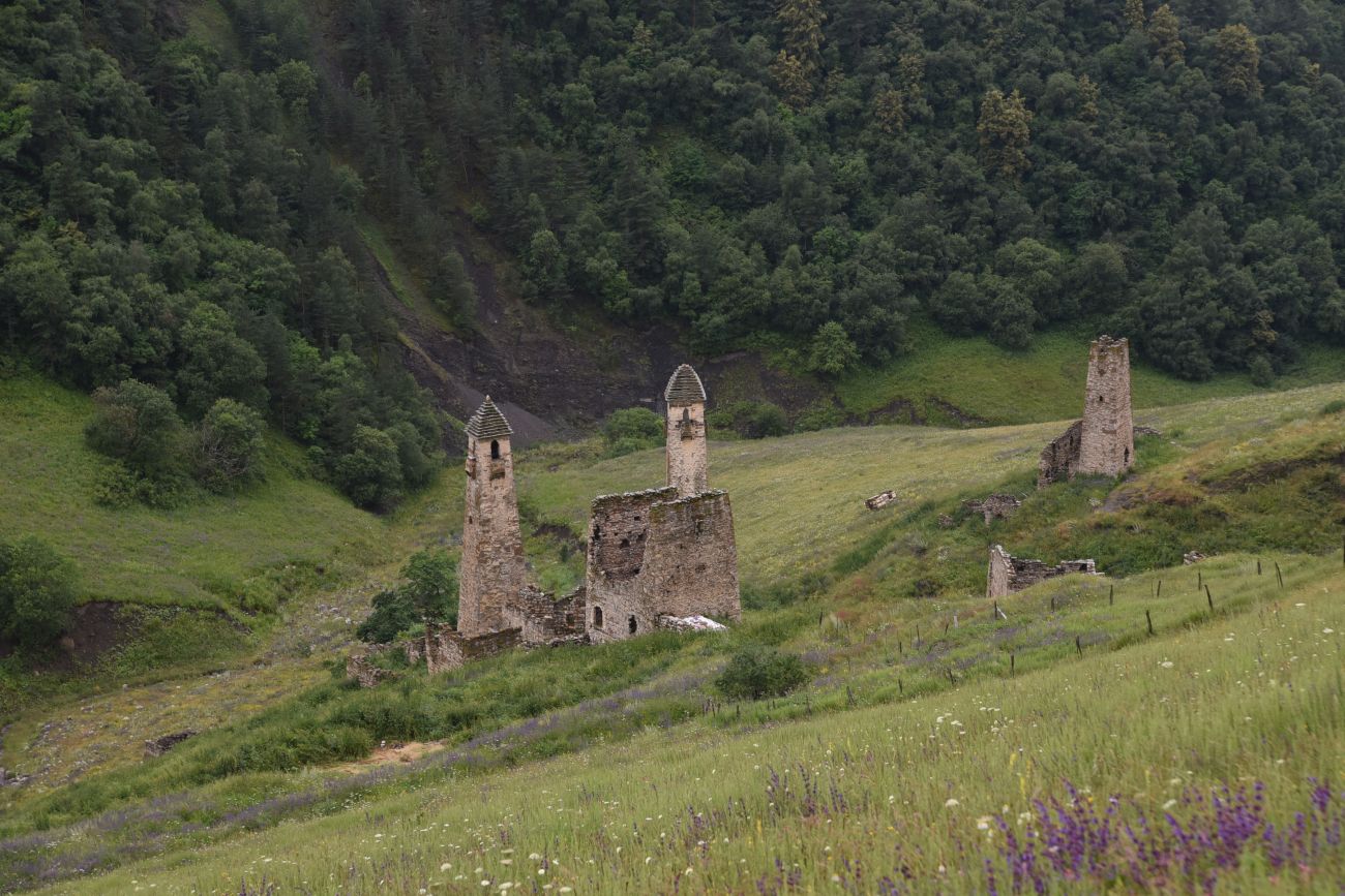 Урочище Хяни, image of landscape/habitat.