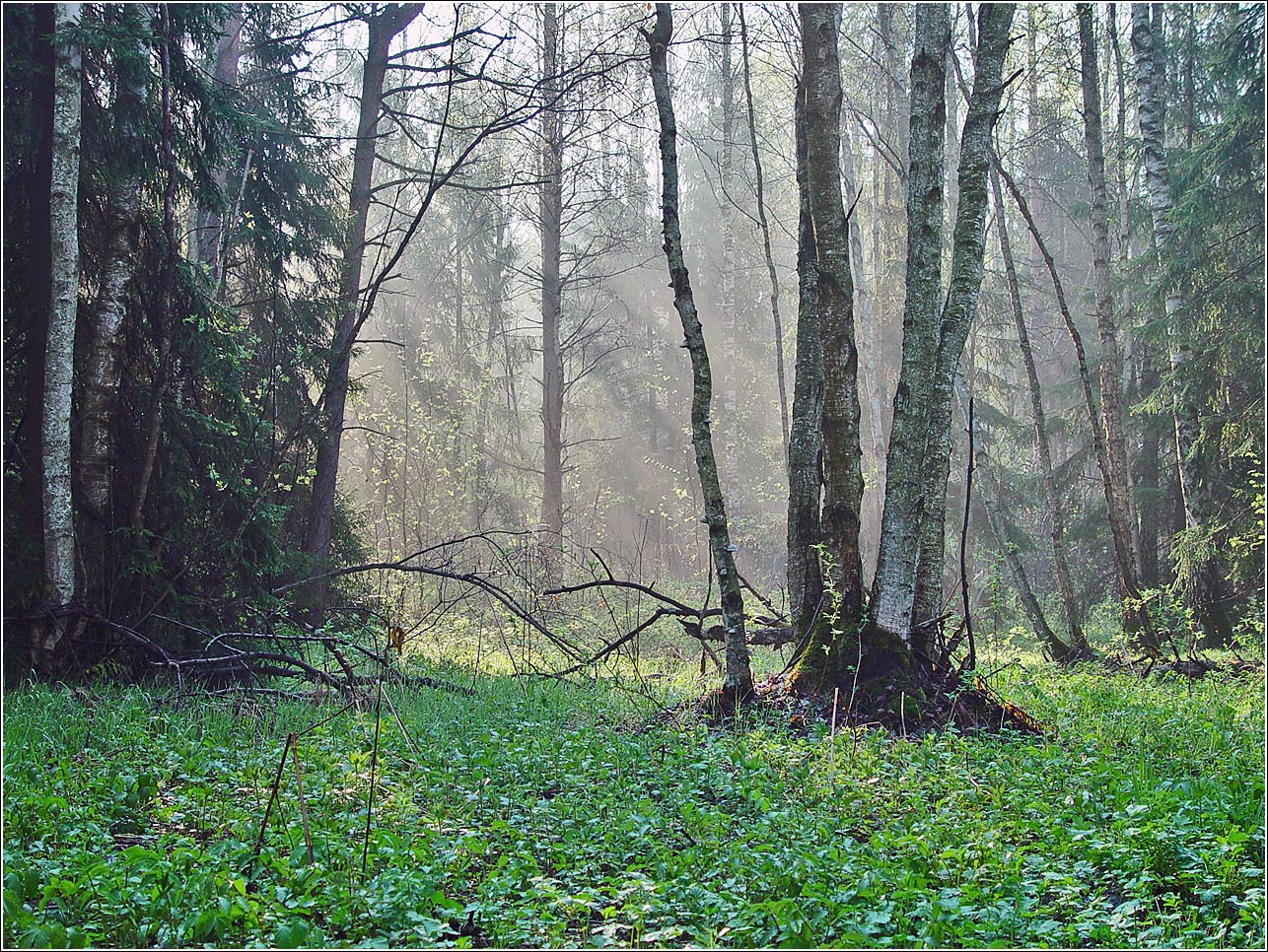 Окрестности Хрипани, image of landscape/habitat.