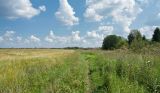 Верховья Оредежа, image of landscape/habitat.