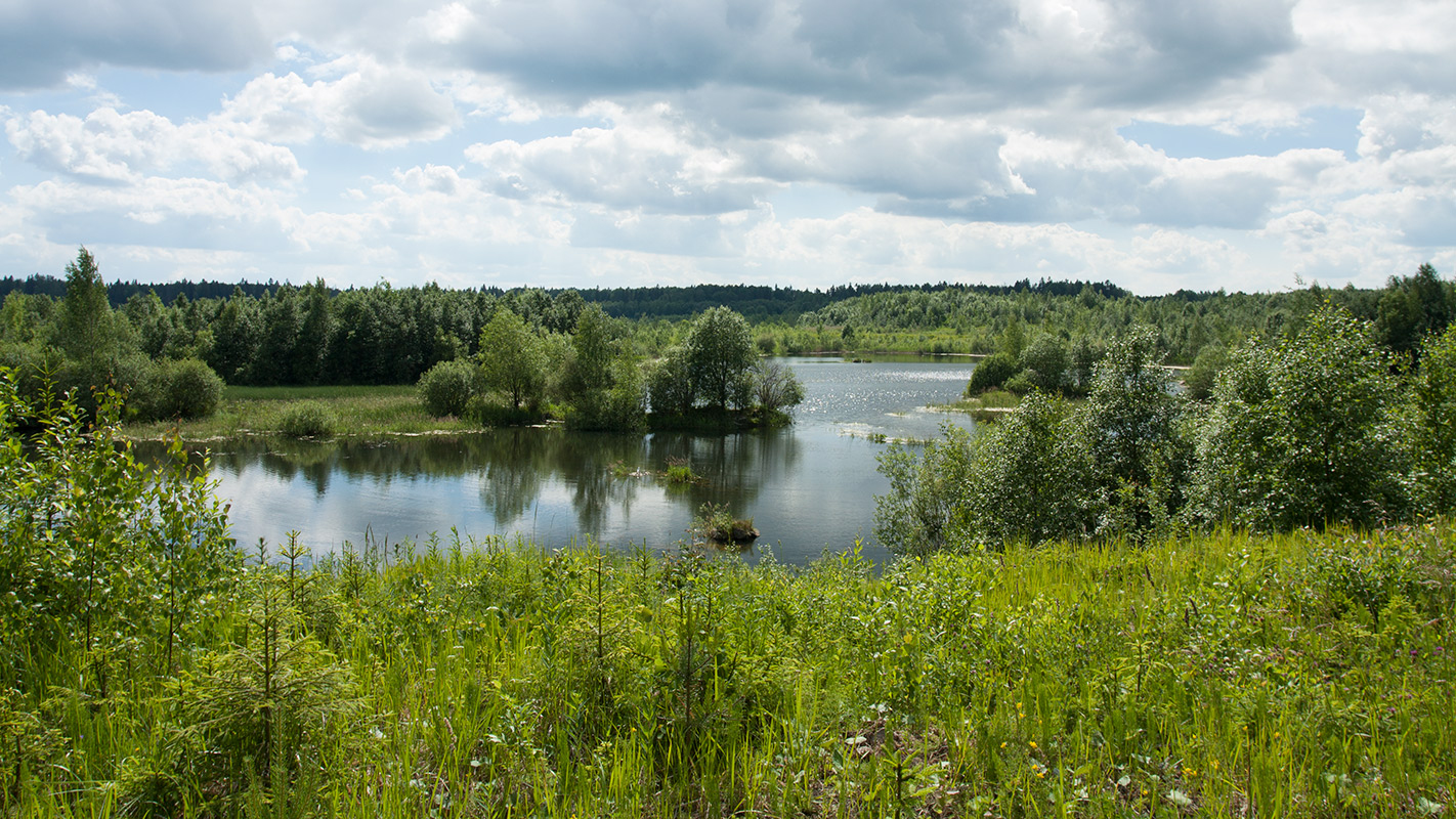 Елизаветинский карьер, image of landscape/habitat.