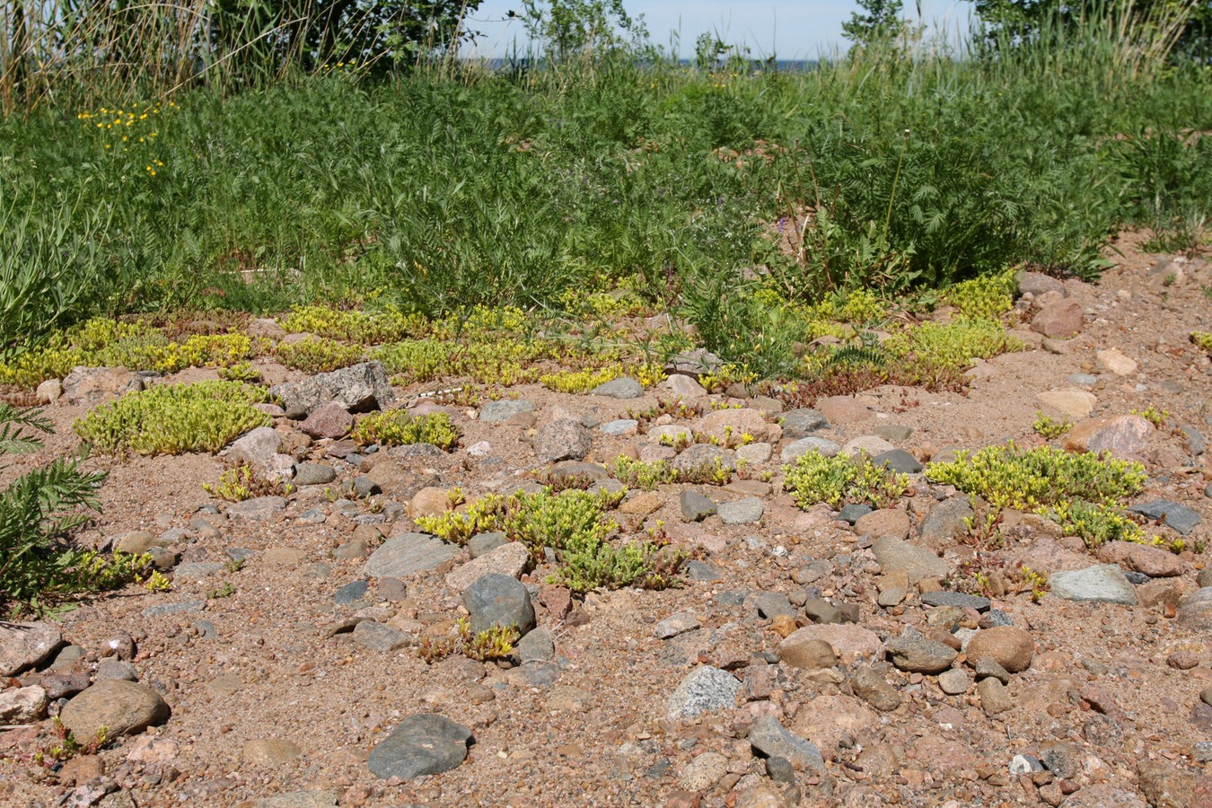 Каравалдай, image of landscape/habitat.