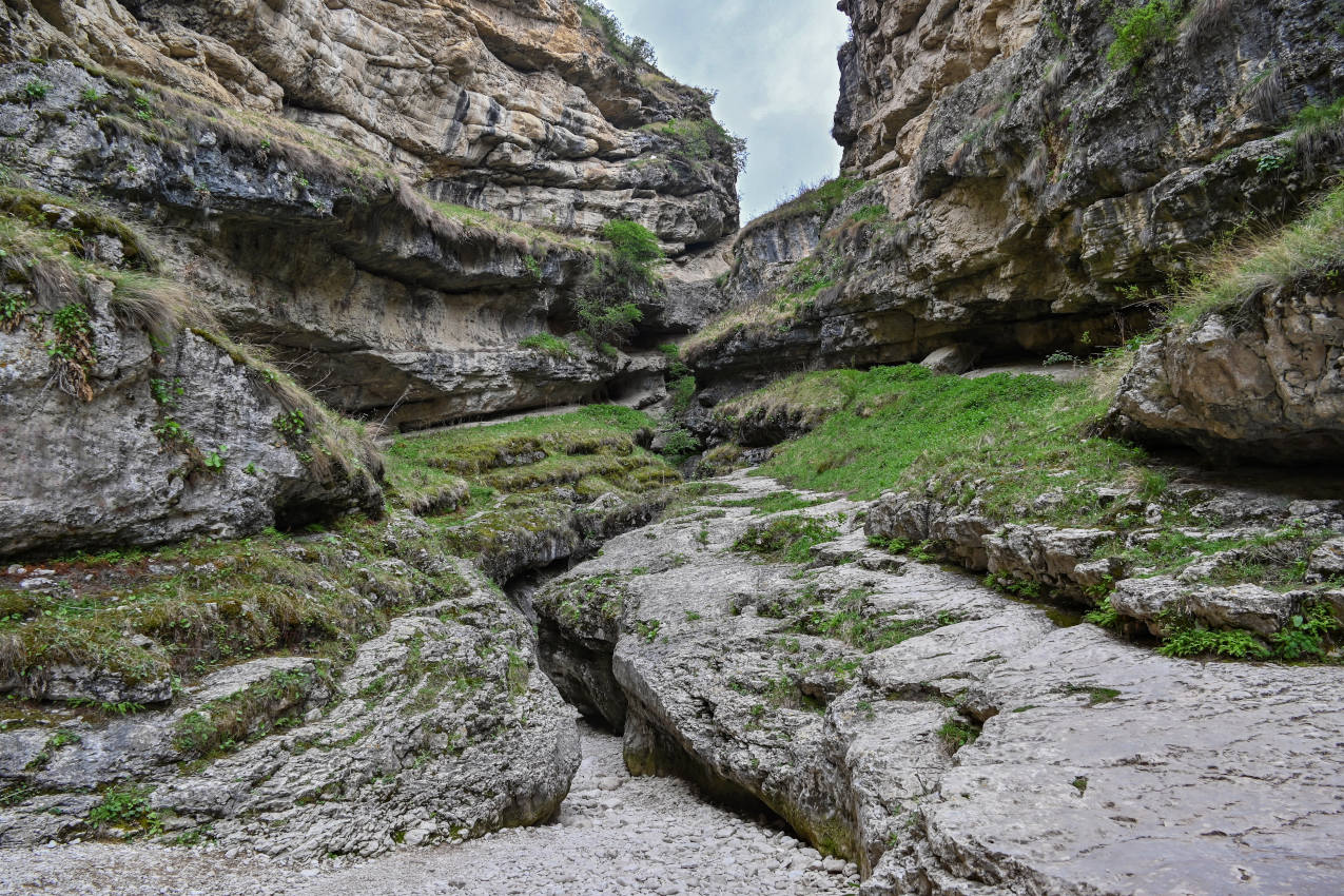 Салтинская теснина, image of landscape/habitat.