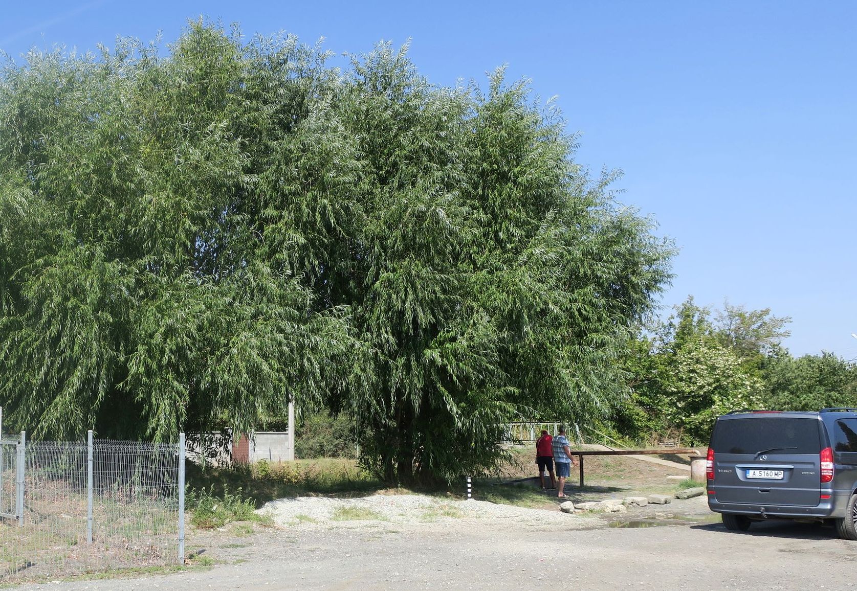 Каменар, image of landscape/habitat.