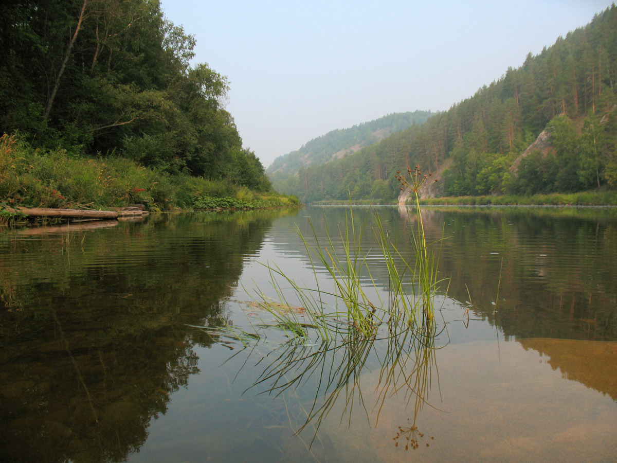 Река Белая, image of landscape/habitat.