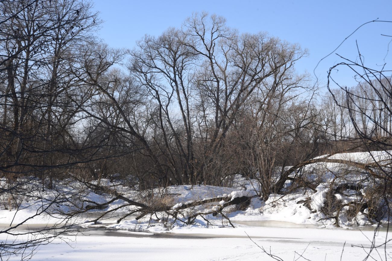 Окрестности деревни Беницы, image of landscape/habitat.