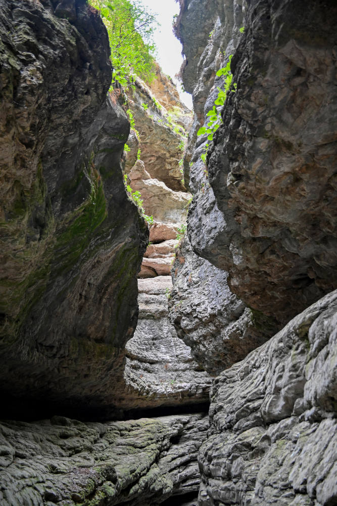 Салтинская теснина, image of landscape/habitat.