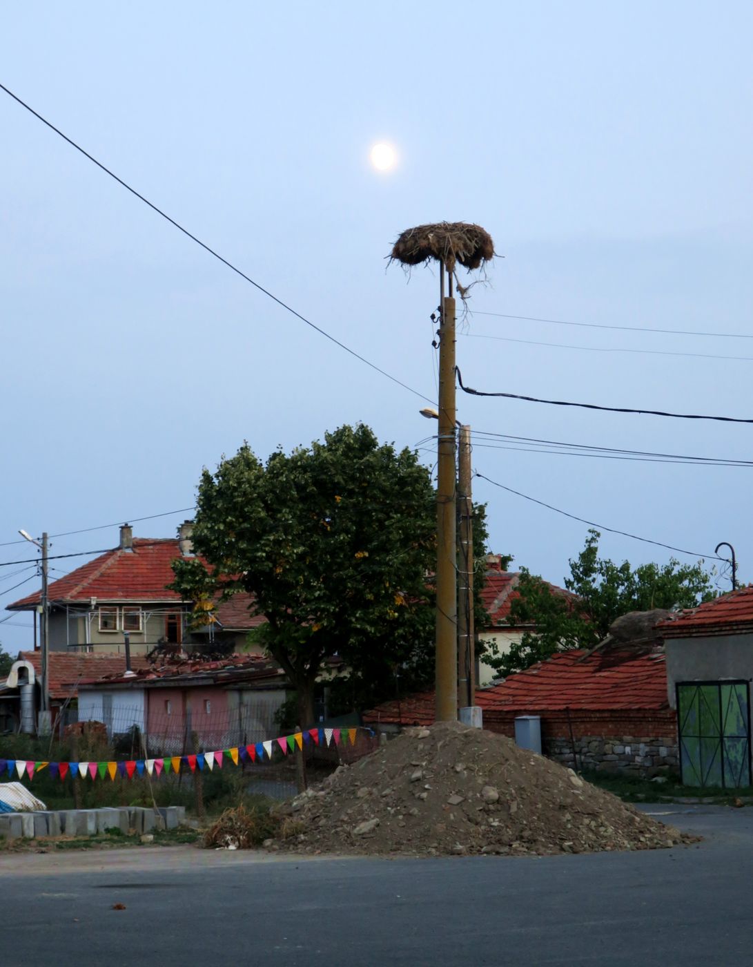 Оризаре, image of landscape/habitat.