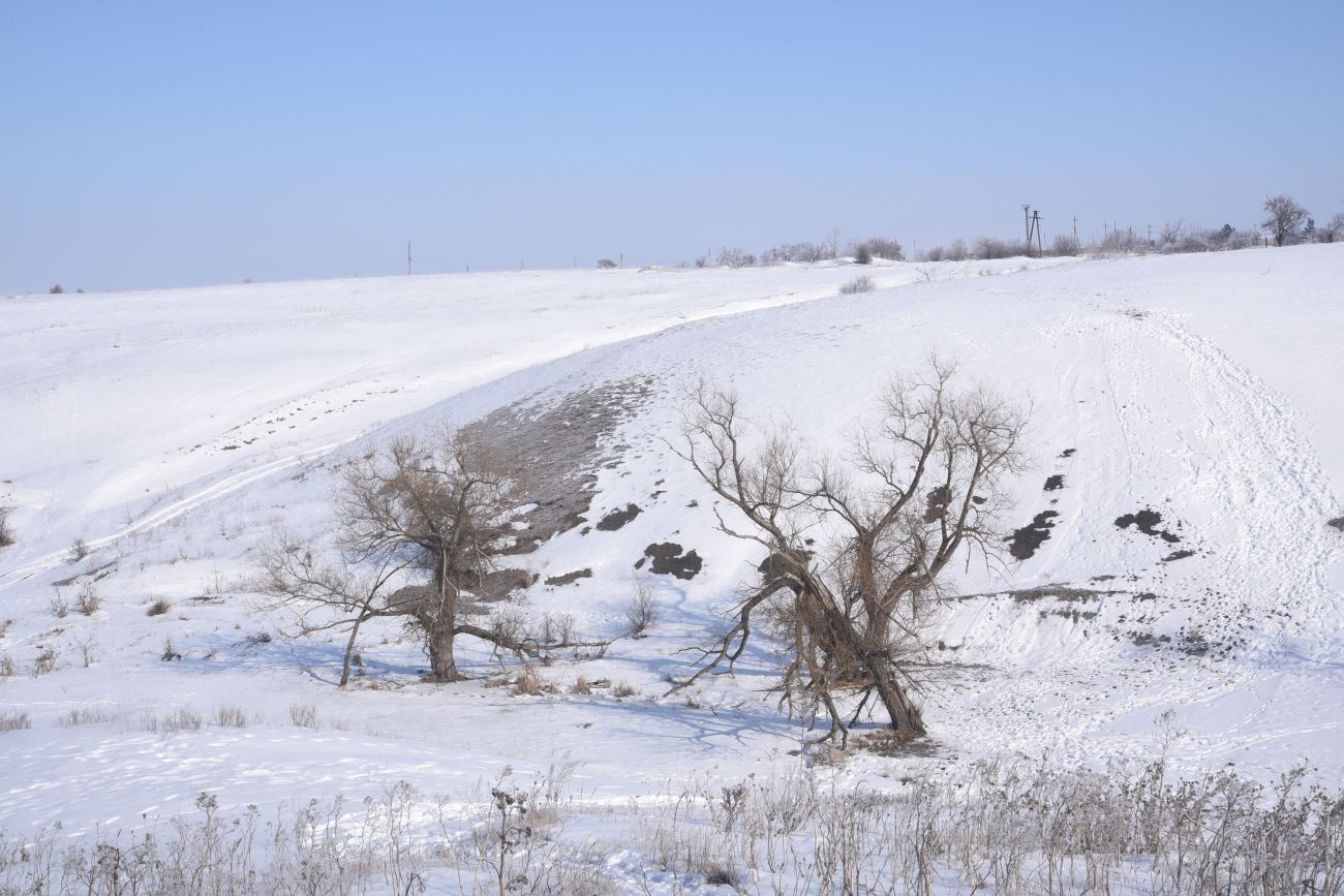 Свердловск, image of landscape/habitat.