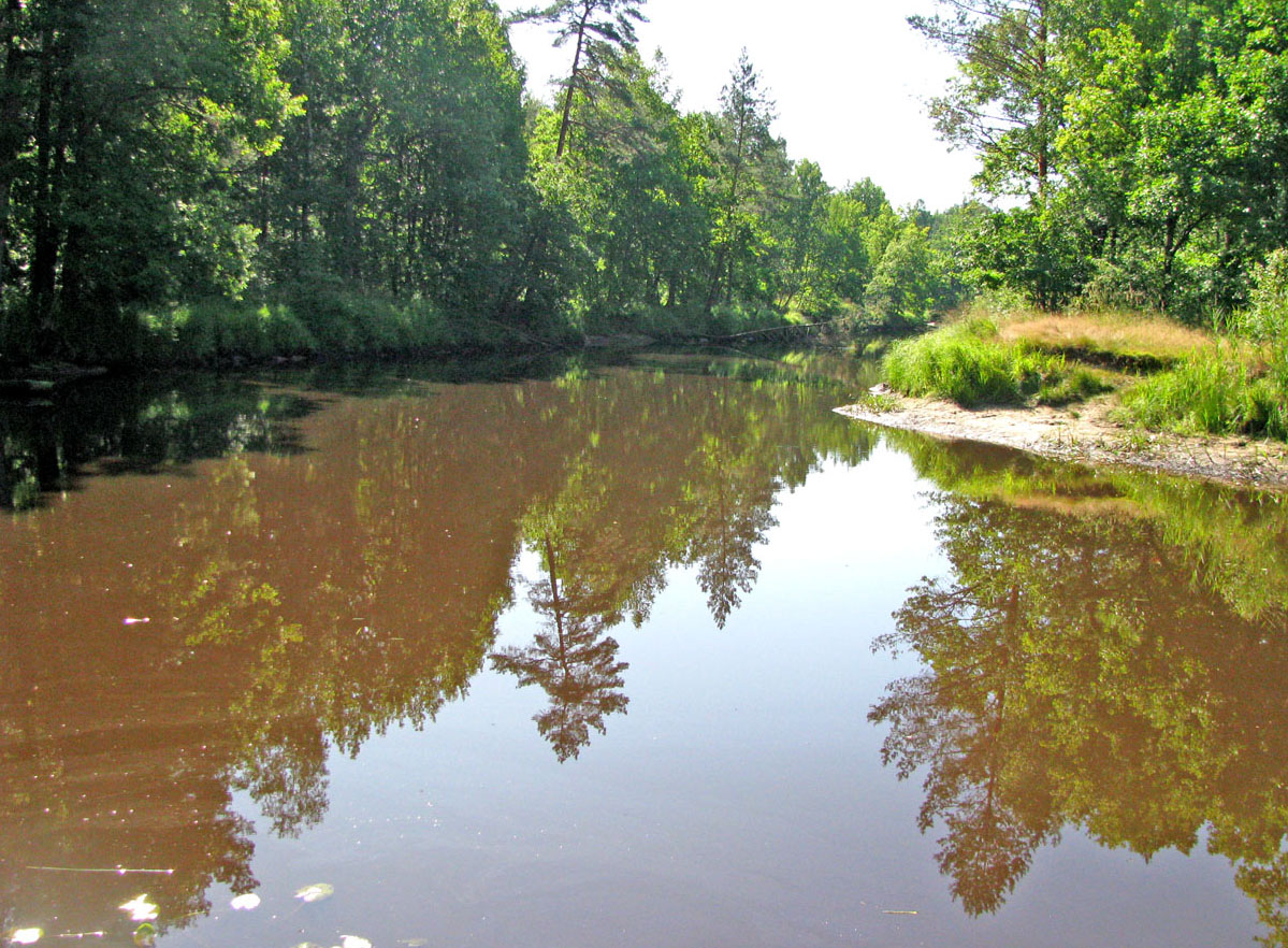 НП Мещёра, image of landscape/habitat.