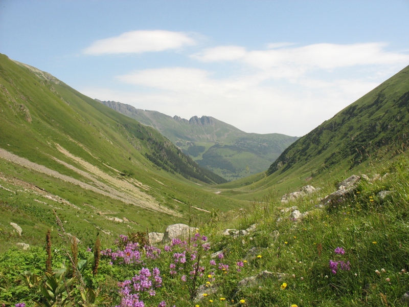 Ущелье реки Азгек, image of landscape/habitat.