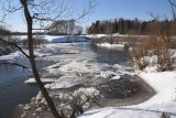 Окрестности деревни Беницы, image of landscape/habitat.