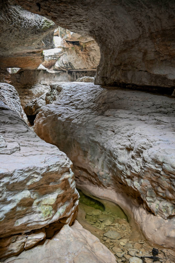 Салтинская теснина, image of landscape/habitat.