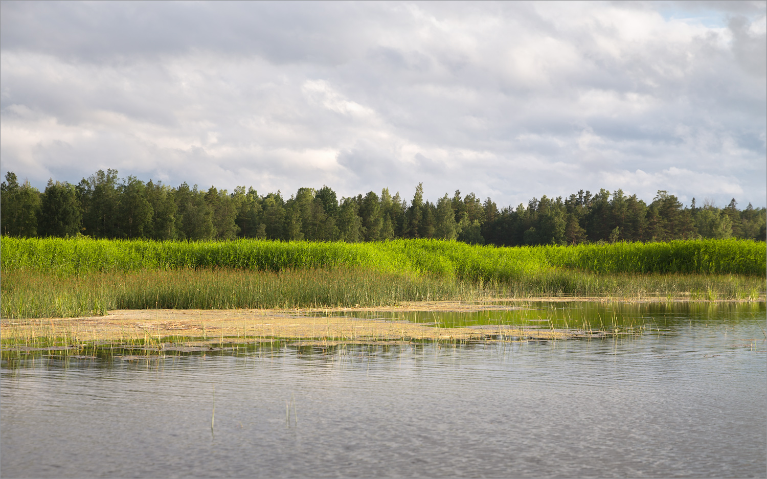 Мыс Дубовский, image of landscape/habitat.