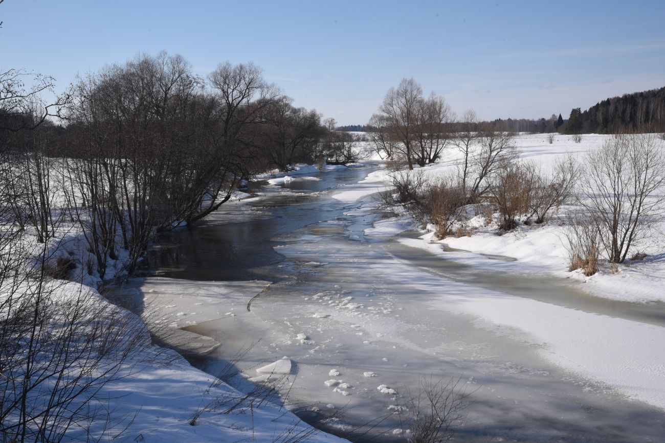 Окрестности деревни Беницы, image of landscape/habitat.