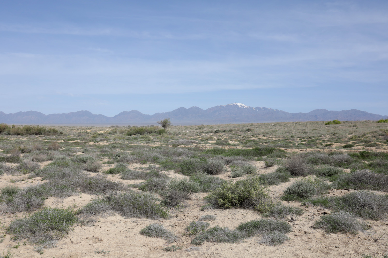 Мынбулак, image of landscape/habitat.