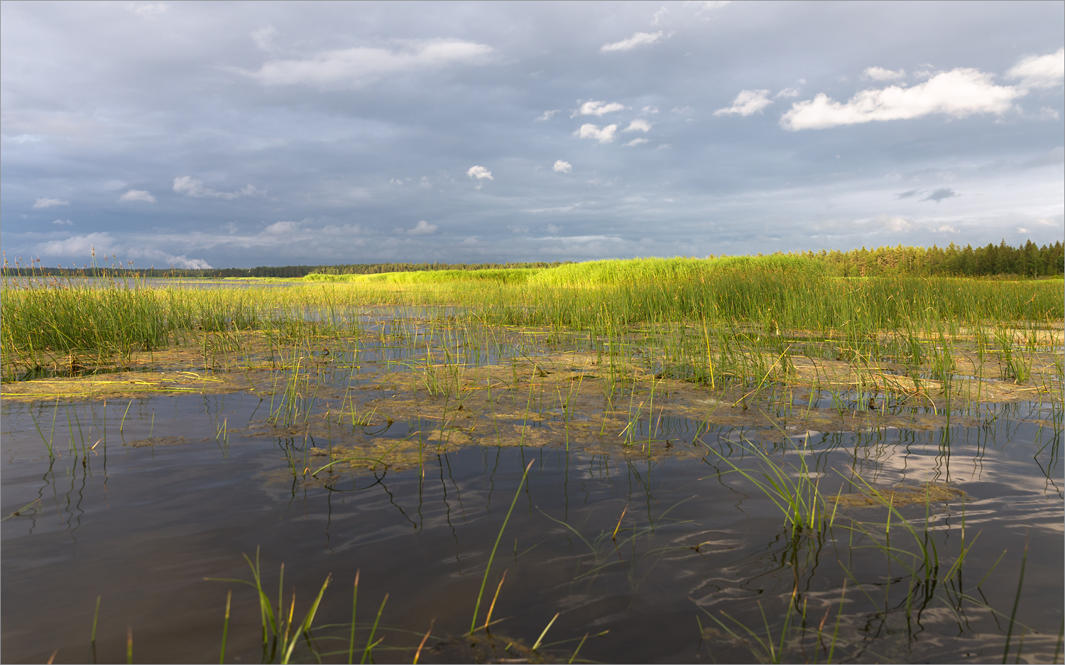 Мыс Дубовский, image of landscape/habitat.